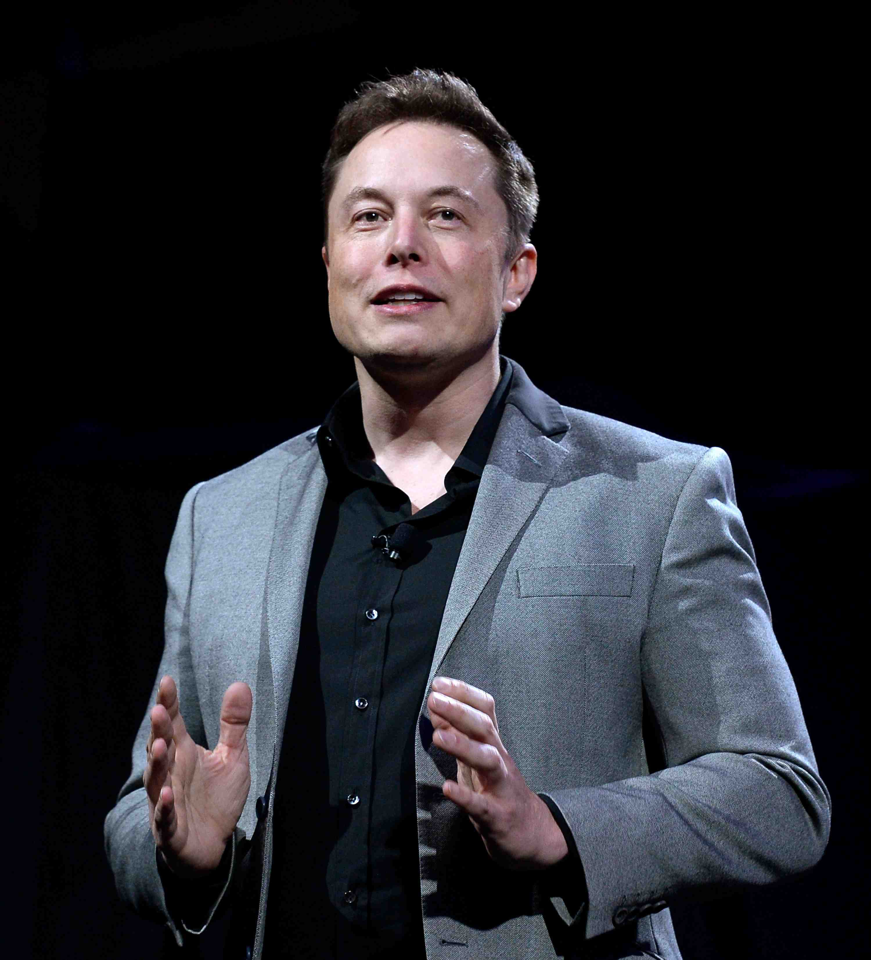 About Tesla Bull Market