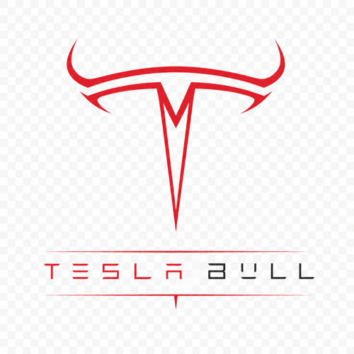 Tesla Bull Market